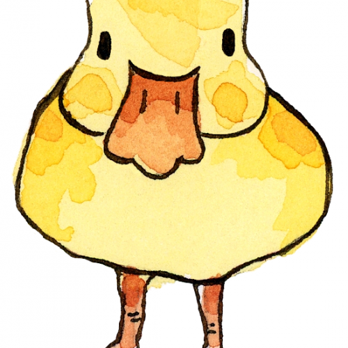 Watercolor Duck