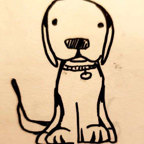 Dog doodle while on plane