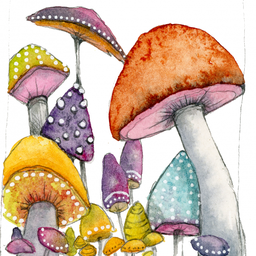 More mushrooms