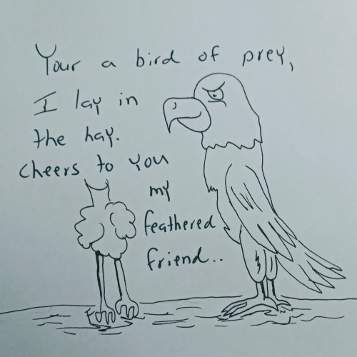 The bird