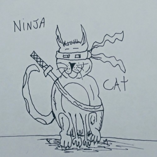 Go ninja