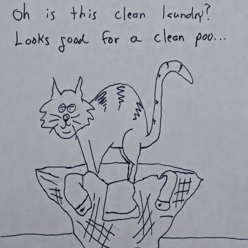Cat load