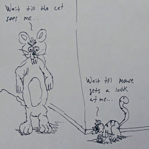 Cat and mouse