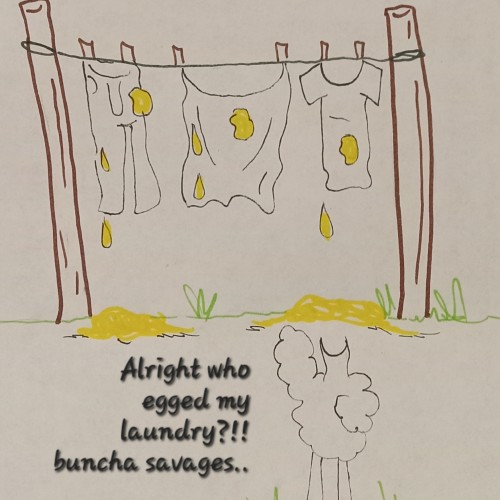 Chicken laundry