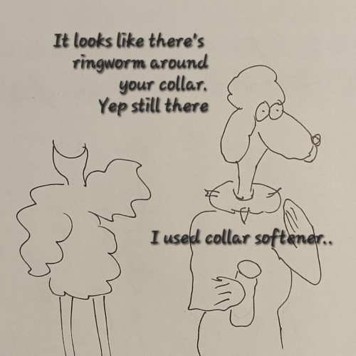 Around the collar