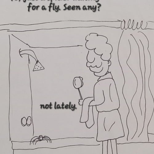 Shower toy