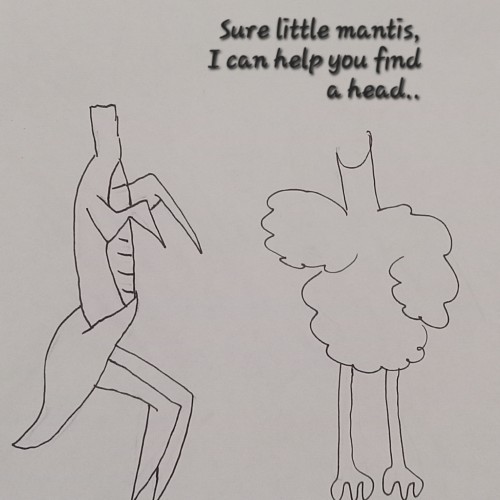 Head search