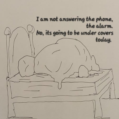 Sleep in