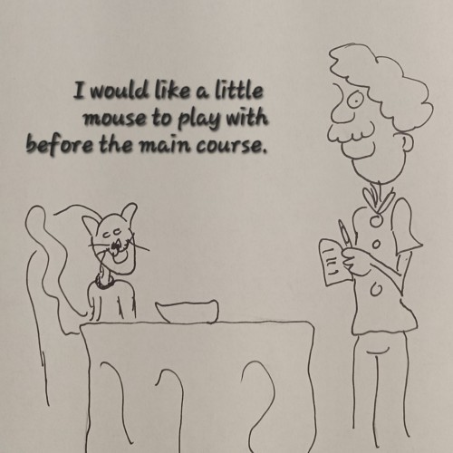 Fancy feline