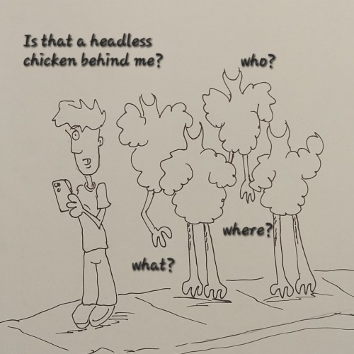 Clucked