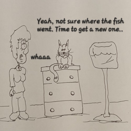 Here fishy