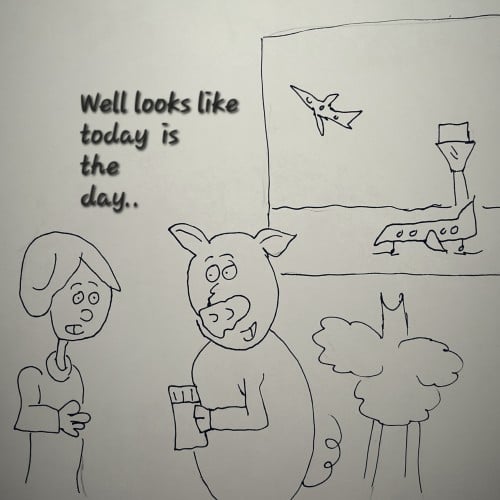 Time to fly swine