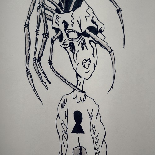 Spider hair
