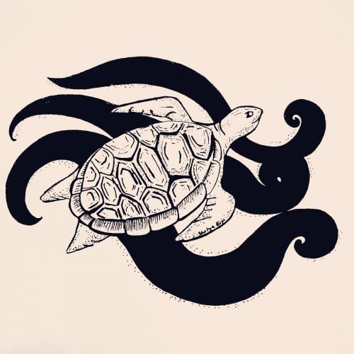 Turtle