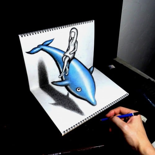 3D Drawing - Dolphin