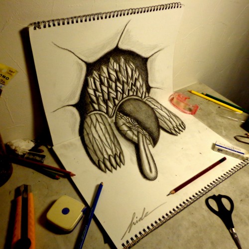 3D Drawing - Turtle