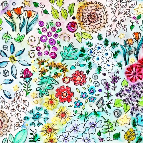 Summer Blooms