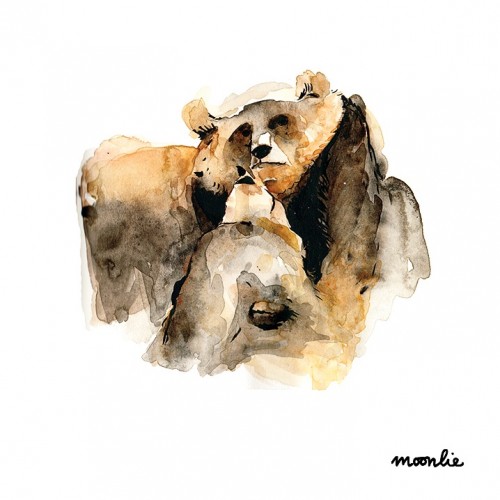 Watercolour bear