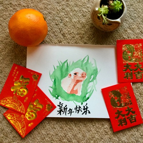 Year of the pig