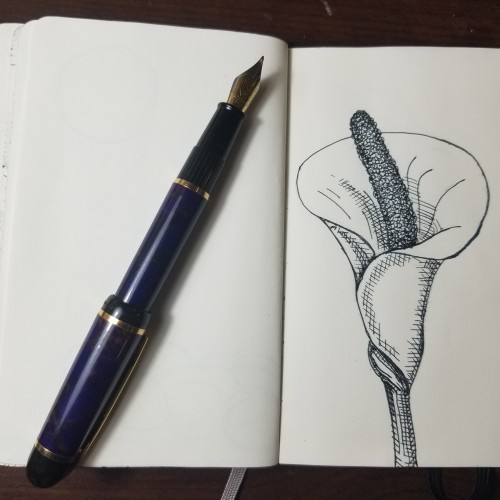 Just another flower doodle