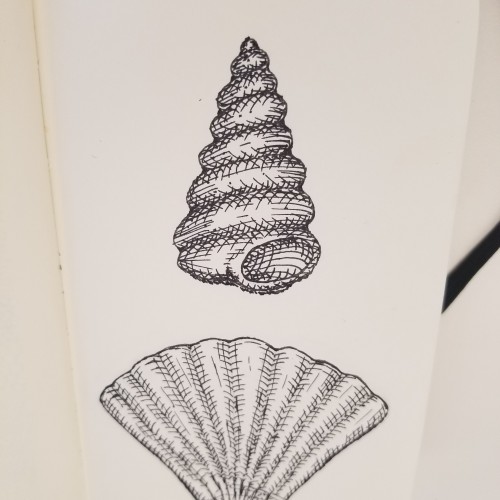 Simple Shells