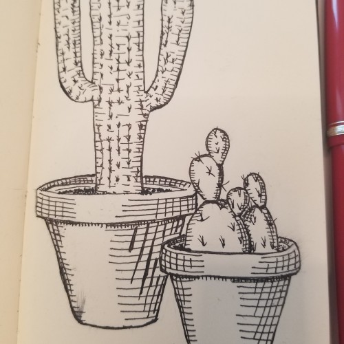 Cactus