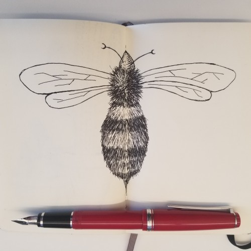 Bee Doodle