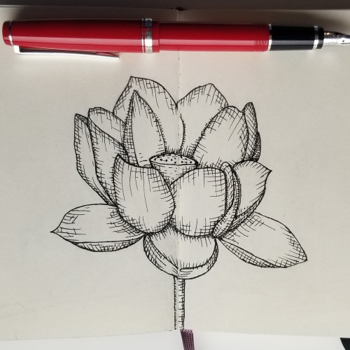 Lotus