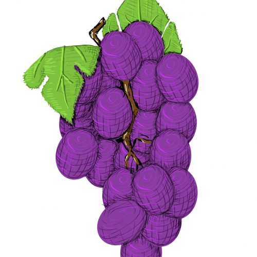 Grapes