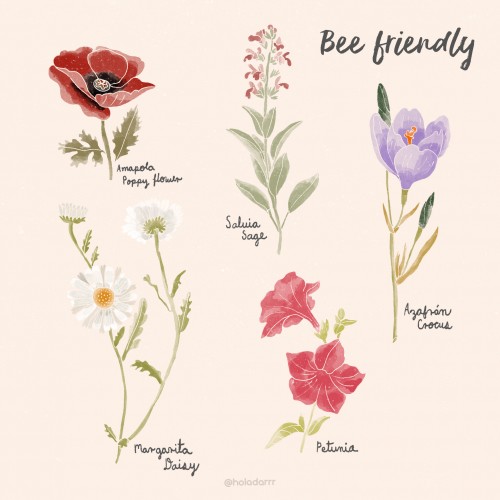 Bee friendly