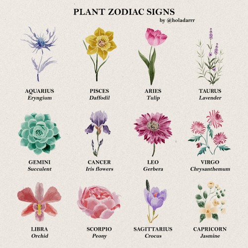 Zodiac plants as signs