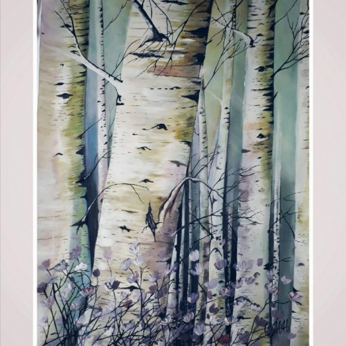 Birch trees