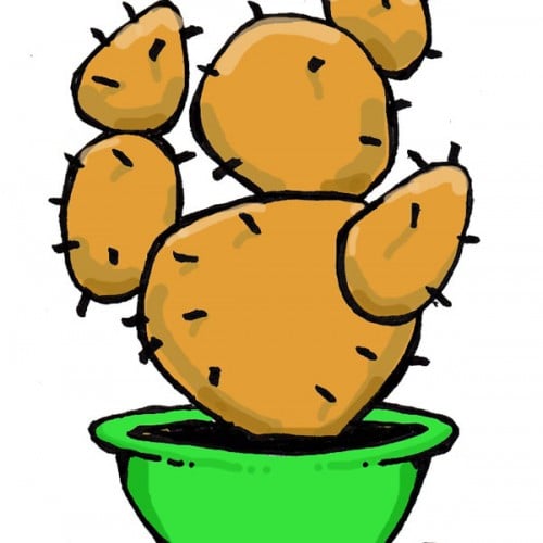 Ginger Cactus