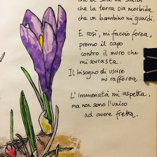 Crocus vernus poem