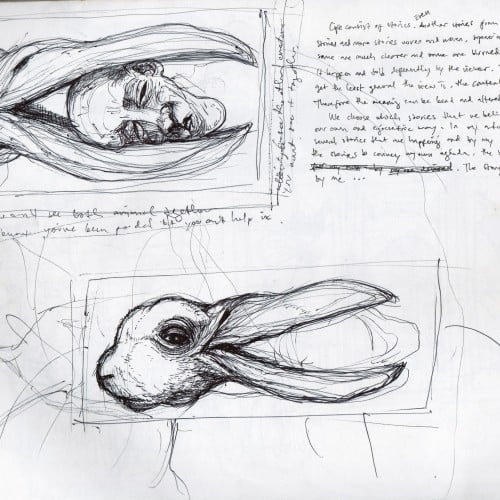 Rabbit-Duck Sketch