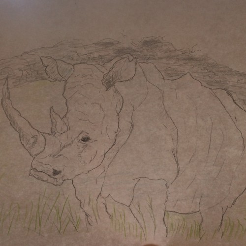 Melancholy Rhino