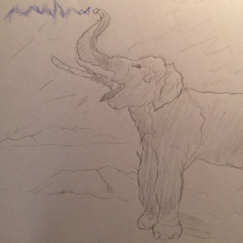 A Voice in the Wilderness