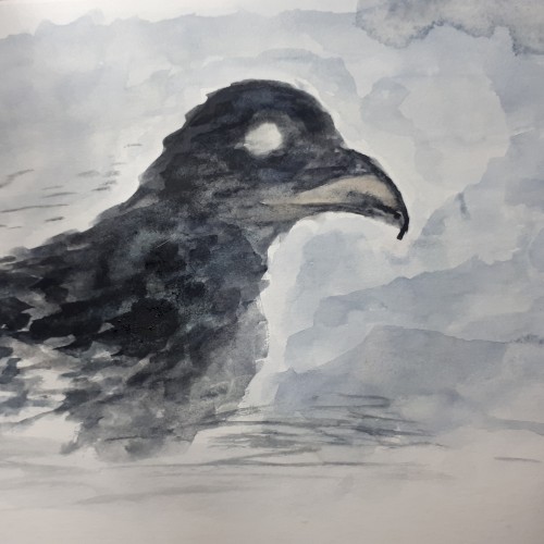 Crow 2