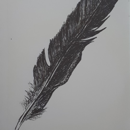 Feather