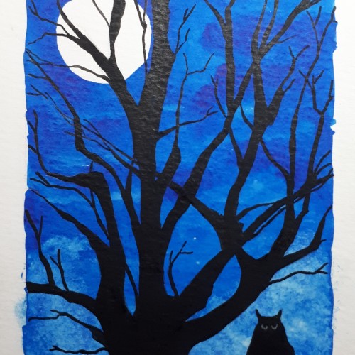 Owl