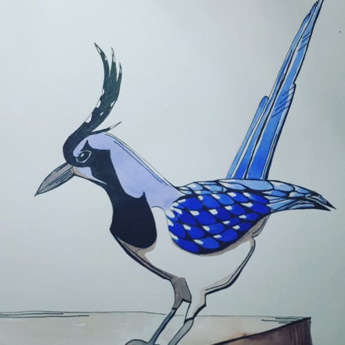 Magpie