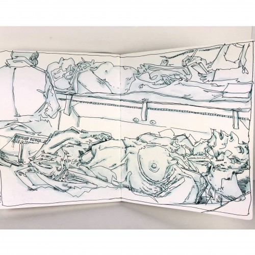 Medical School Gross Anatomy Drawings