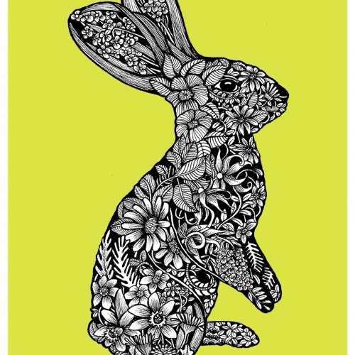 Illustrated Bunny