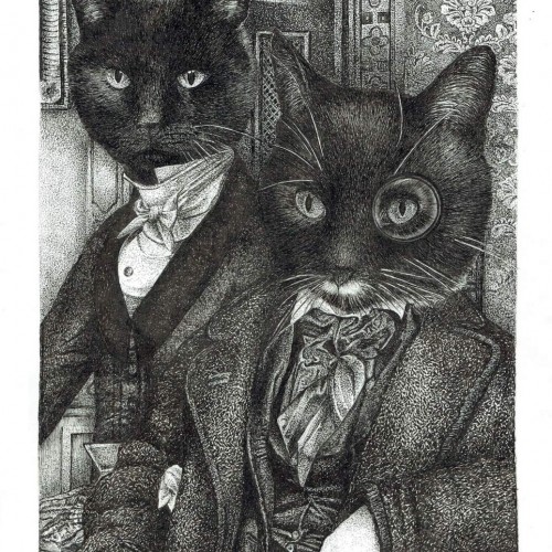 Swanky cats