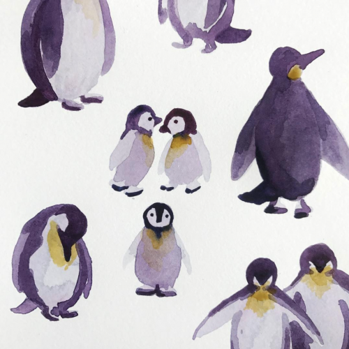 Purple penguins
