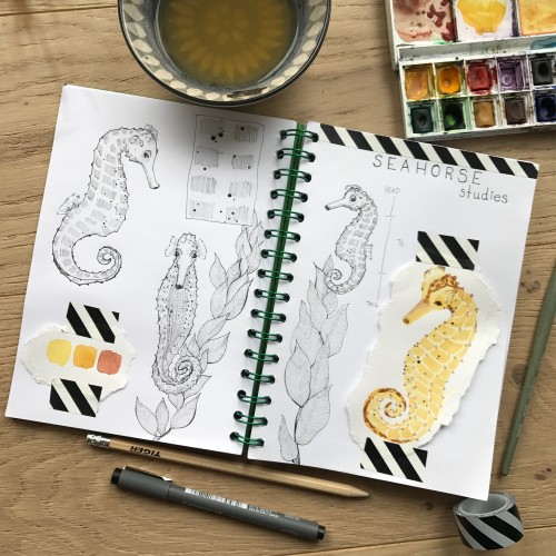 Seahorse study