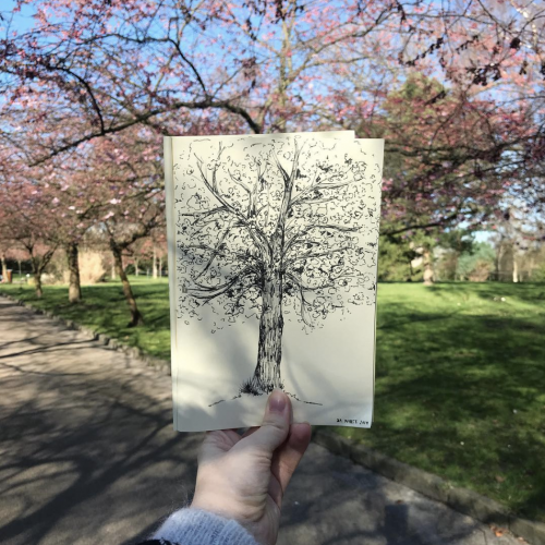 Cherry blossom sketch
