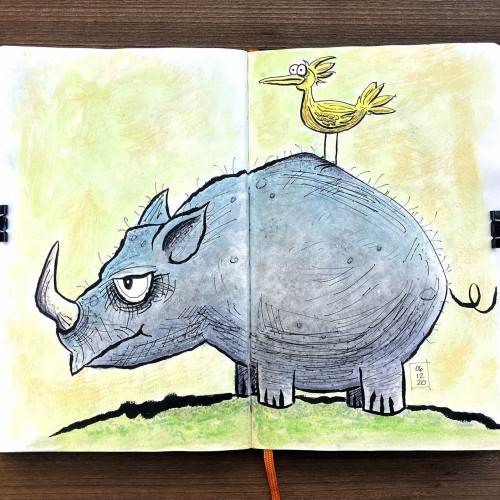 Bird on Rhino