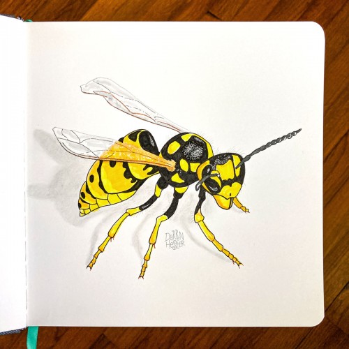 Yellow Jacket