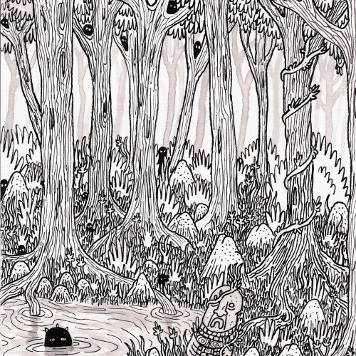 A forest.